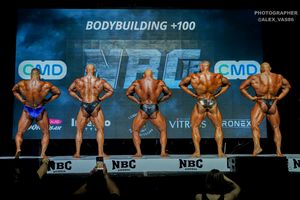 BODYBUILDING +100